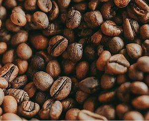 Ethiopian Coffee Selection
