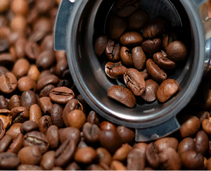 Roasted Coffee Collection