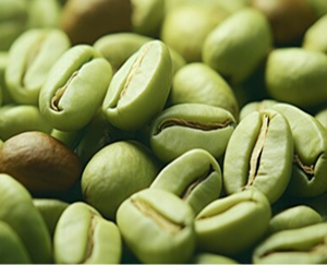 Green Coffee Beans